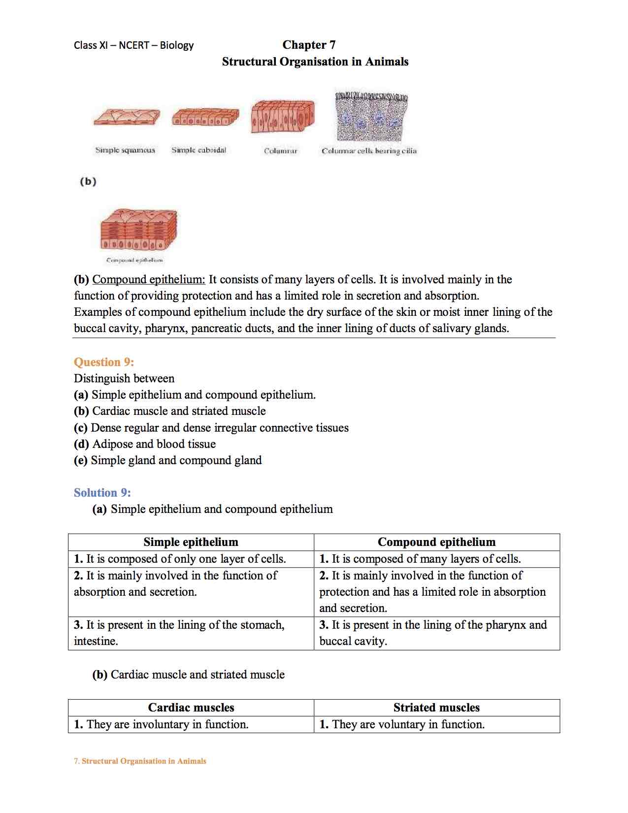 Ncert Solution for 11 Class Biology Chapter 7 - Structural Organisation in  Animals