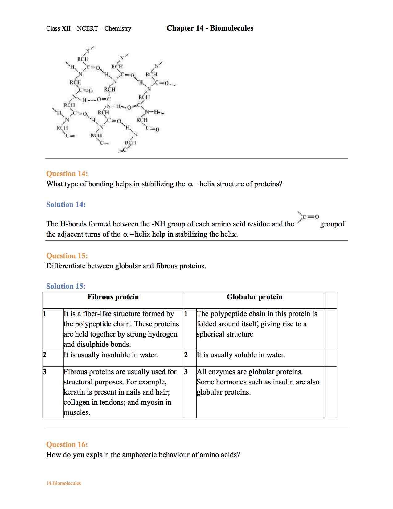 assignment on biomolecules class 12