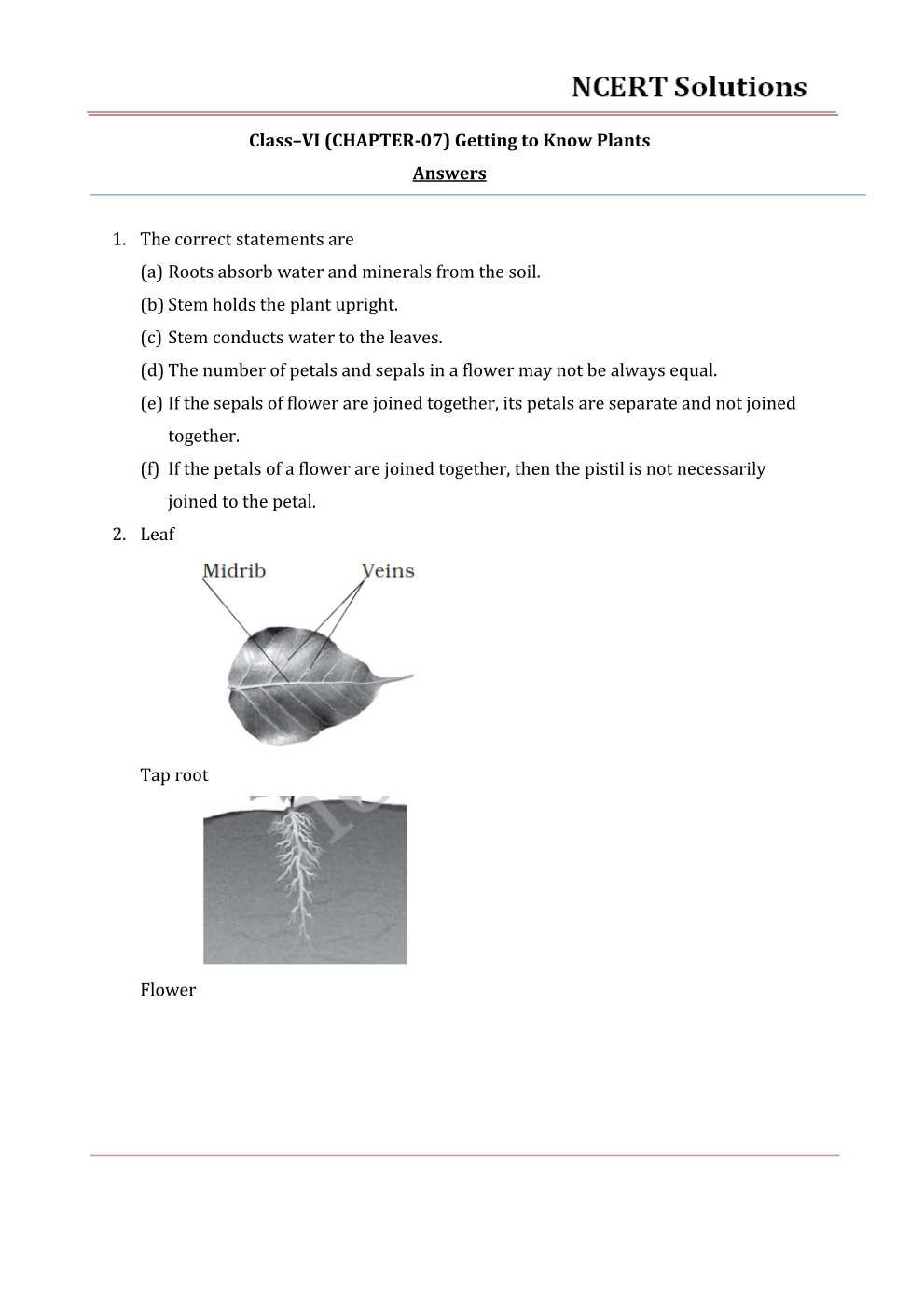 class 6 science assignment pdf