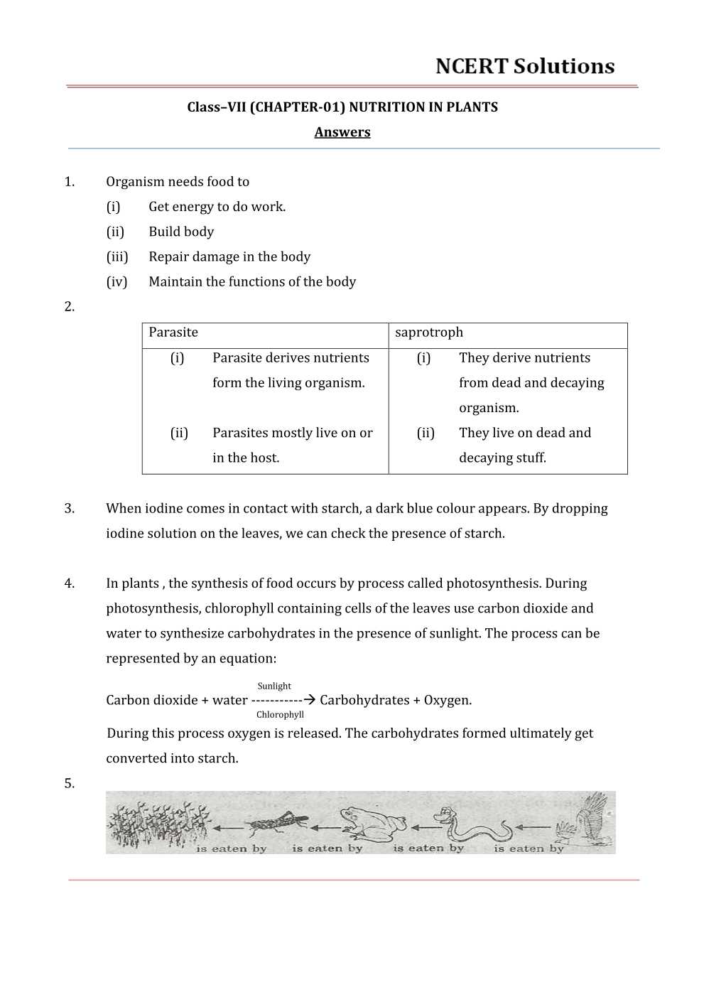 NCERT Solutions For Class 7 science Chapter 1 Nutrition in Plants