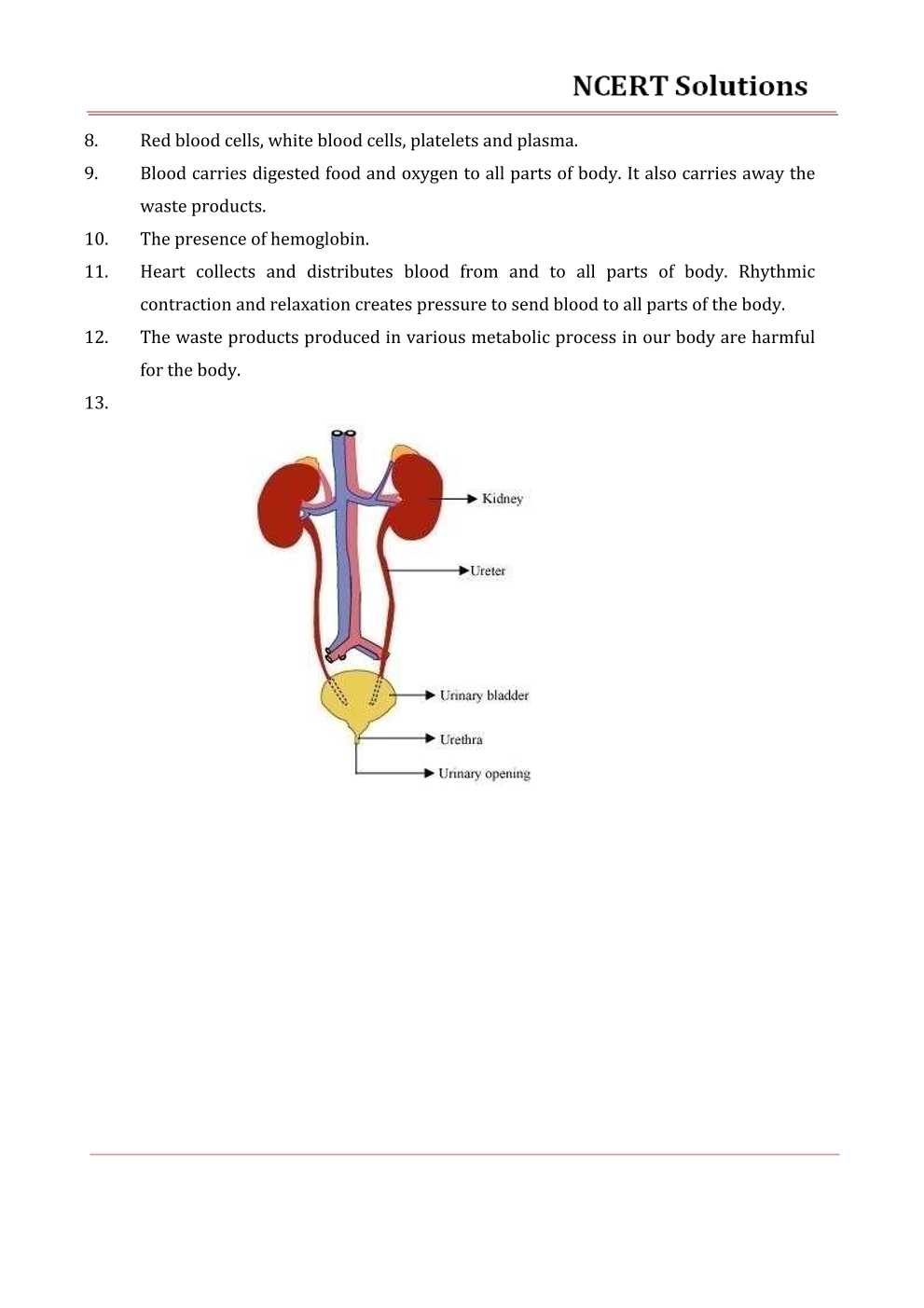 NCERT Solutions For Class 7 science Chapter 11 Transportation in Animals and Plants
