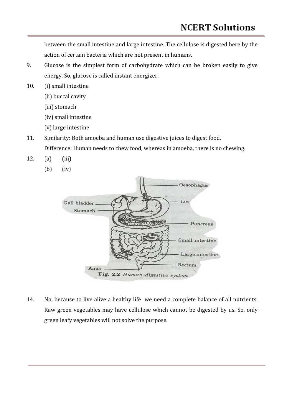 NCERT Solutions For Class 7 science Chapter 2 Nutrition in Animals