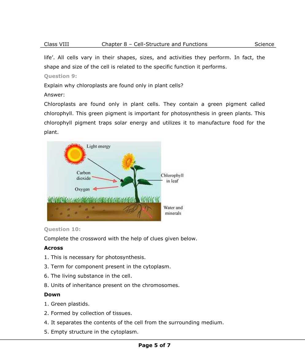 NCERT Solutions For Class 8 Science Chapter 8 